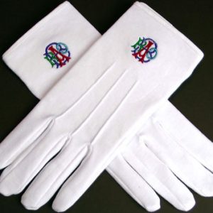 RAOB Glove1